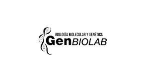 Logo 26